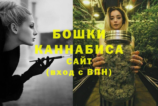 гашик Арсеньев