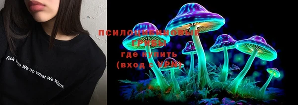 ECSTASY Аркадак