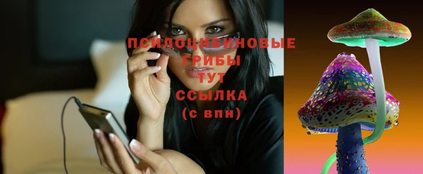 ECSTASY Аркадак