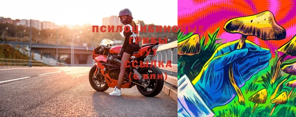 гашик Арсеньев