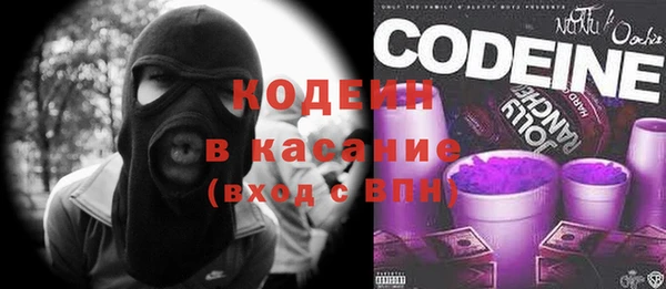 гашик Арсеньев